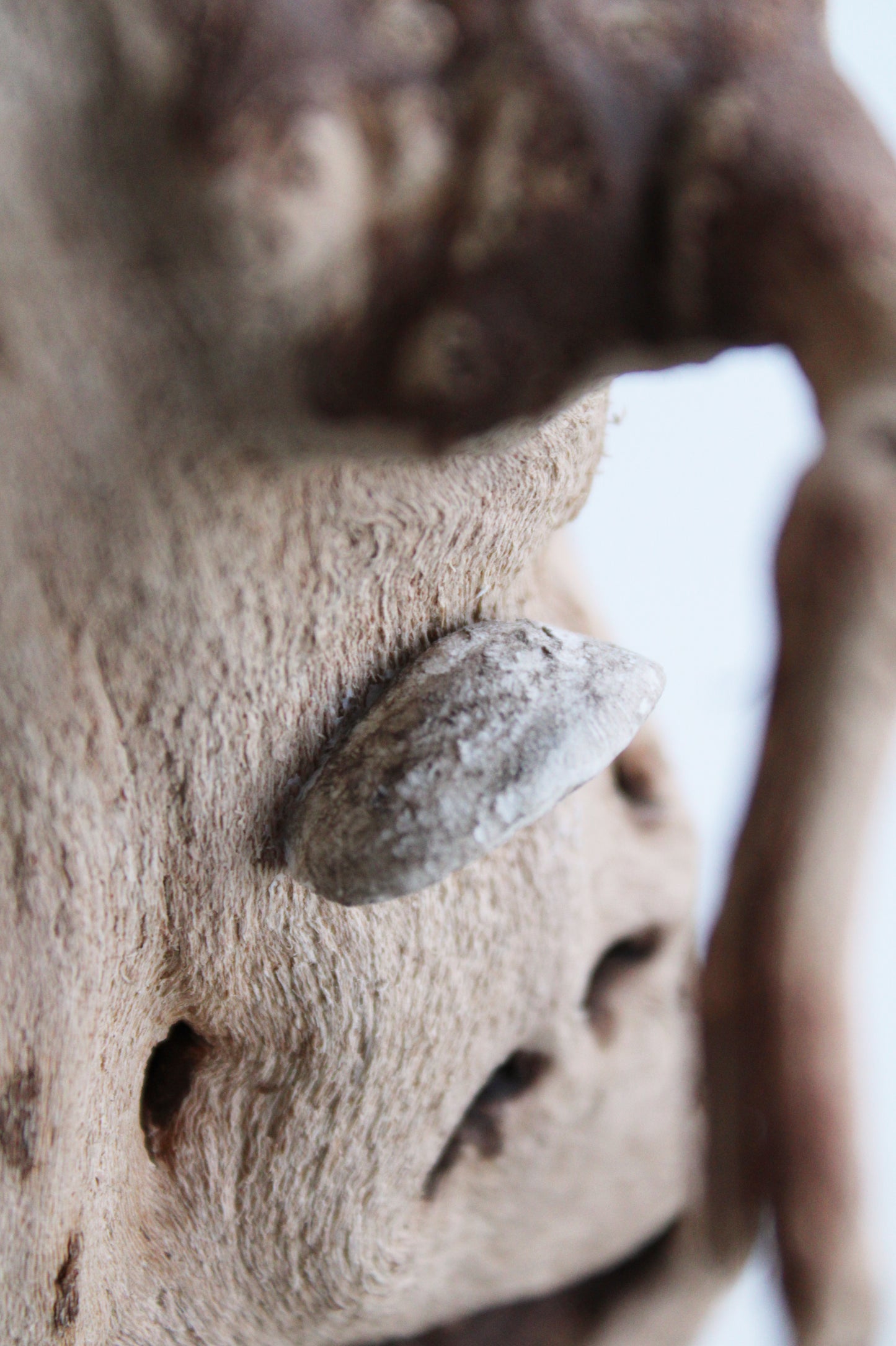 Barred Owl Family II | Wood Sculpture