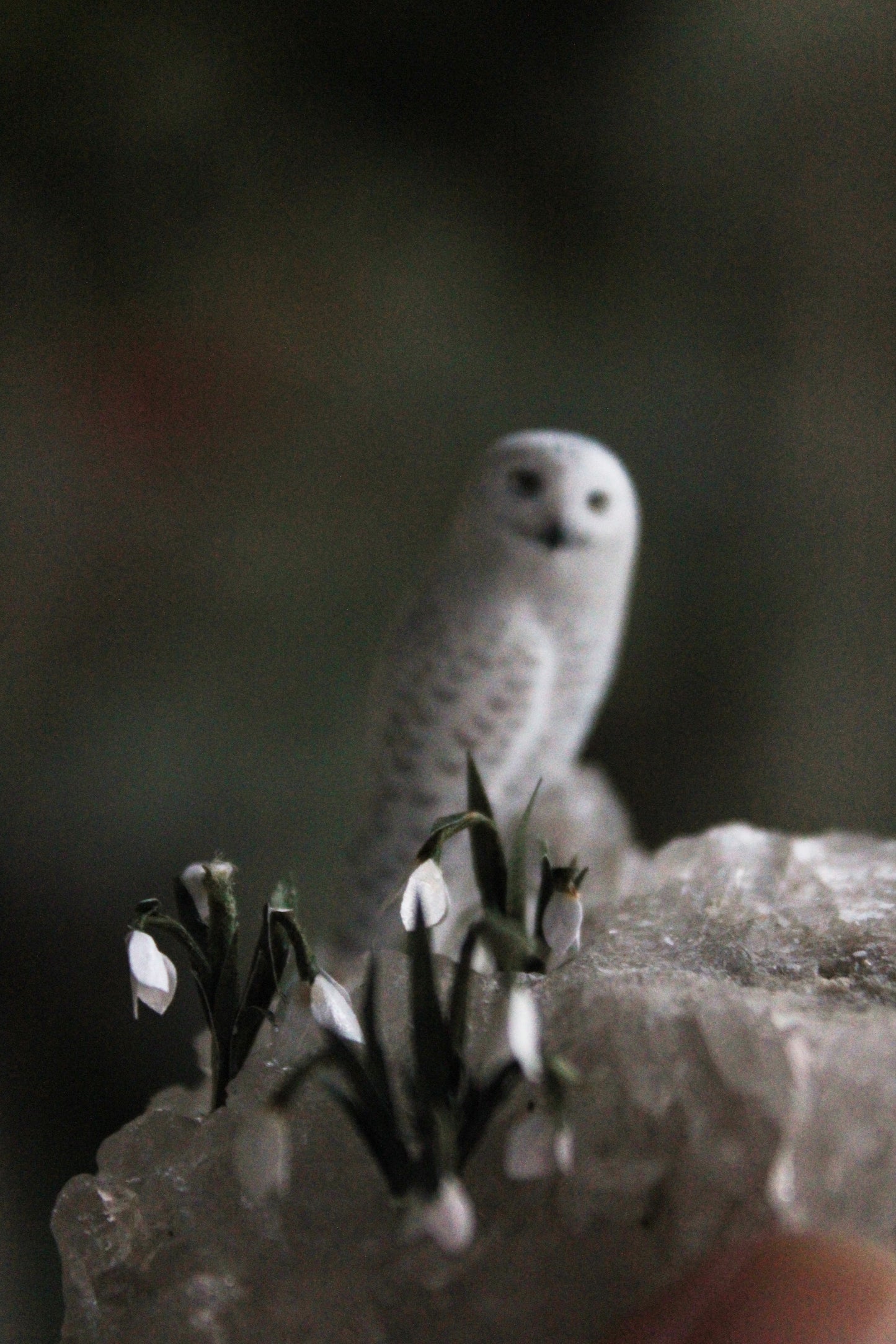 Snowy Owls & Snowdrops | Crystal Sculpture