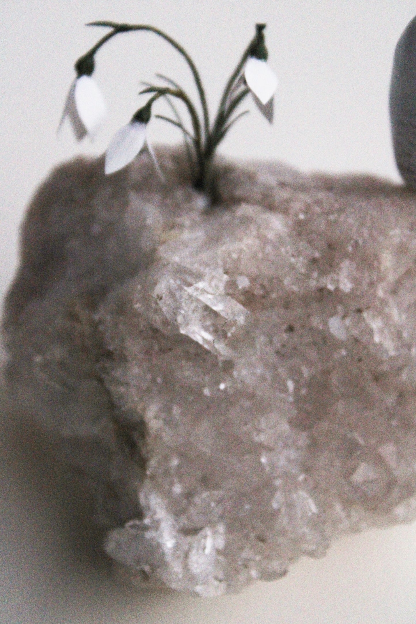 Snowy Owl & Snowdrops | Crystal Sculpture