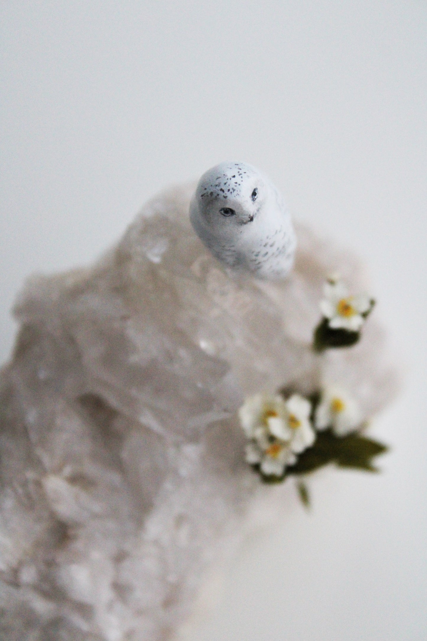 Snowy Owl & Primrose | Crystal Sculpture