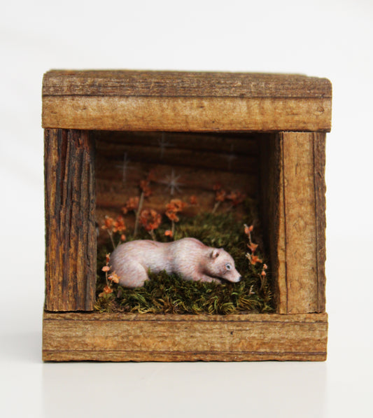 Meadow Meditation | Wooden Shadowbox