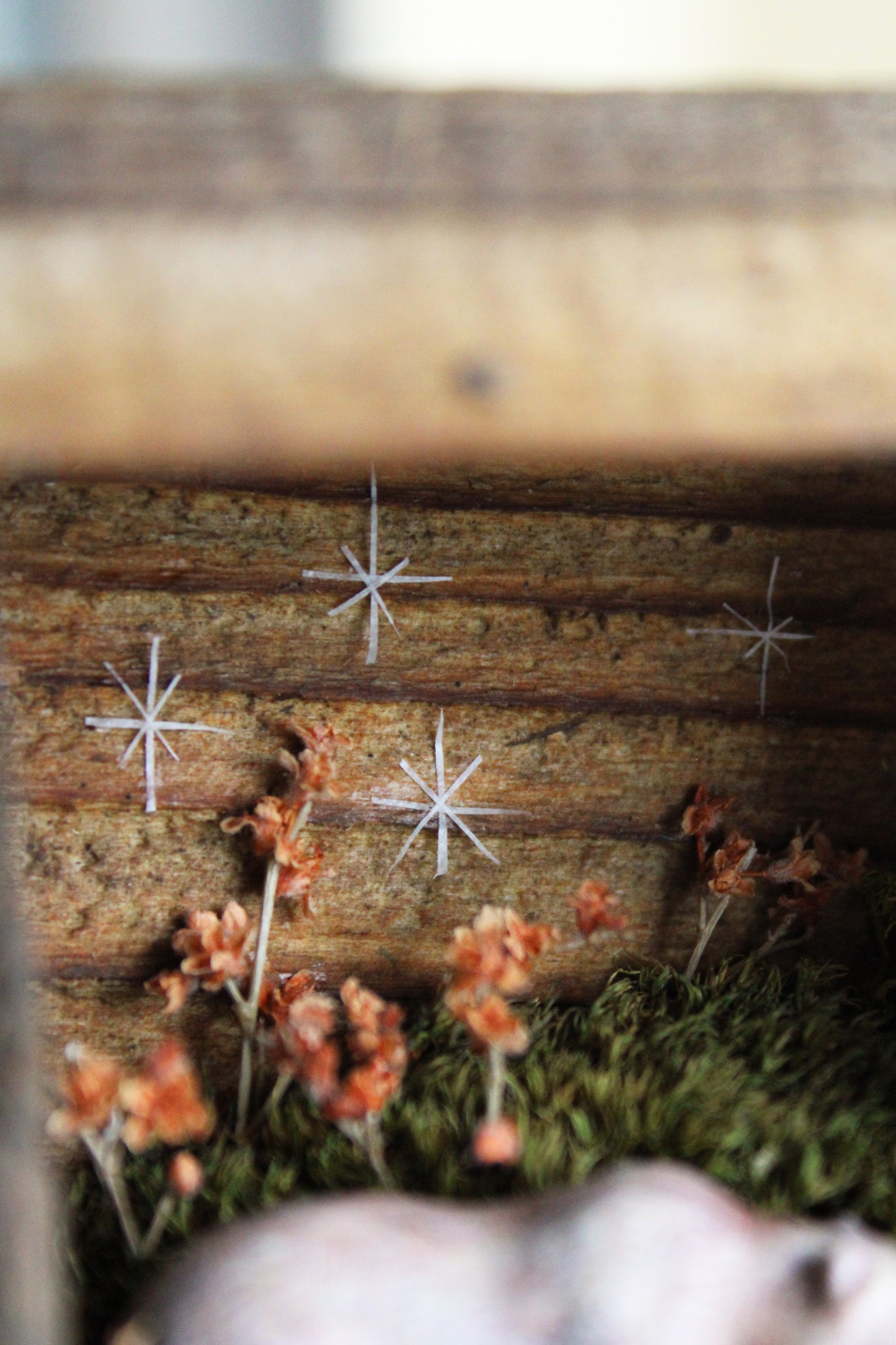 Meadow Meditation | Wooden Shadowbox