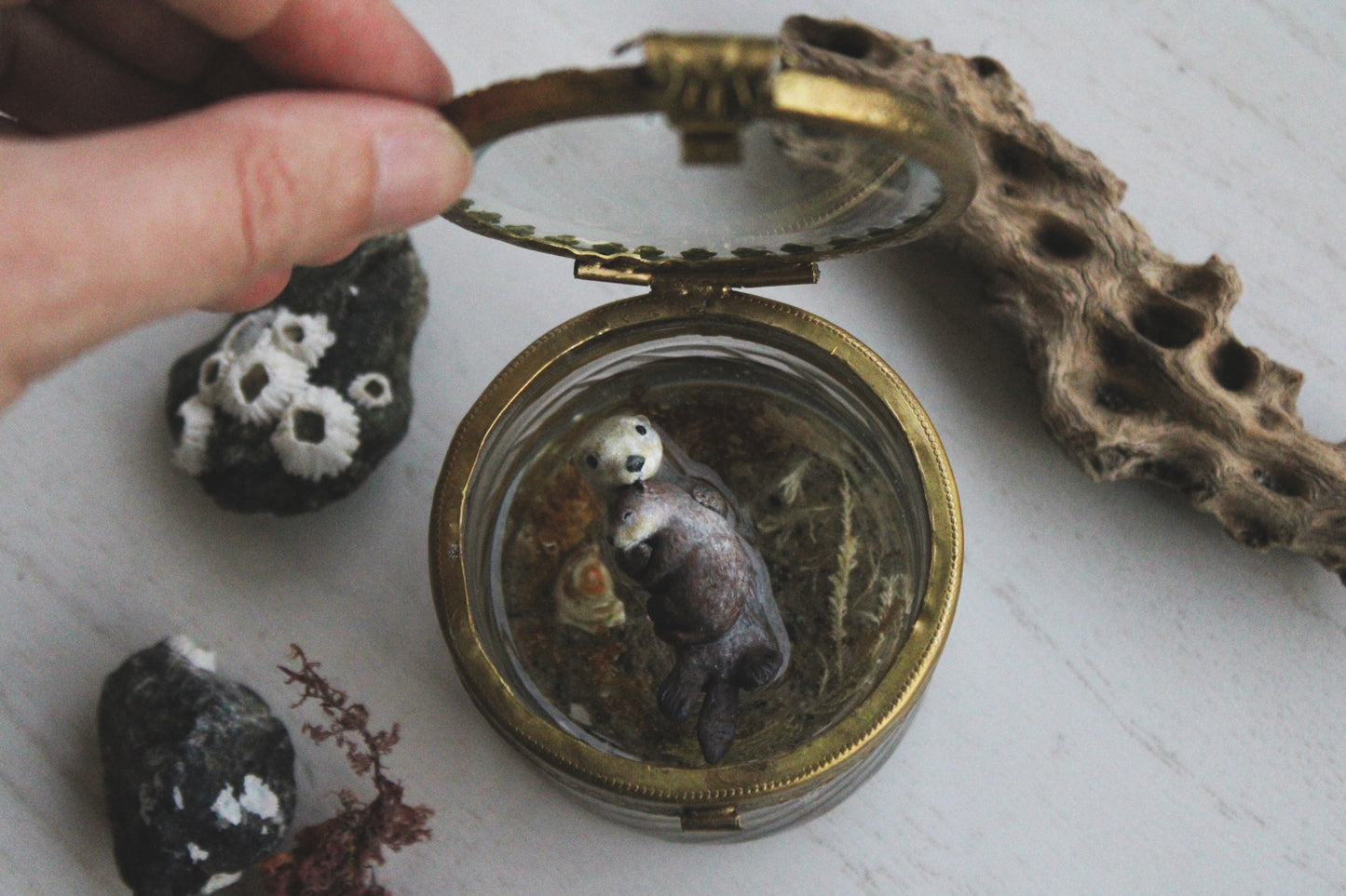 Enfolded | Glass Shadowbox Sculpture