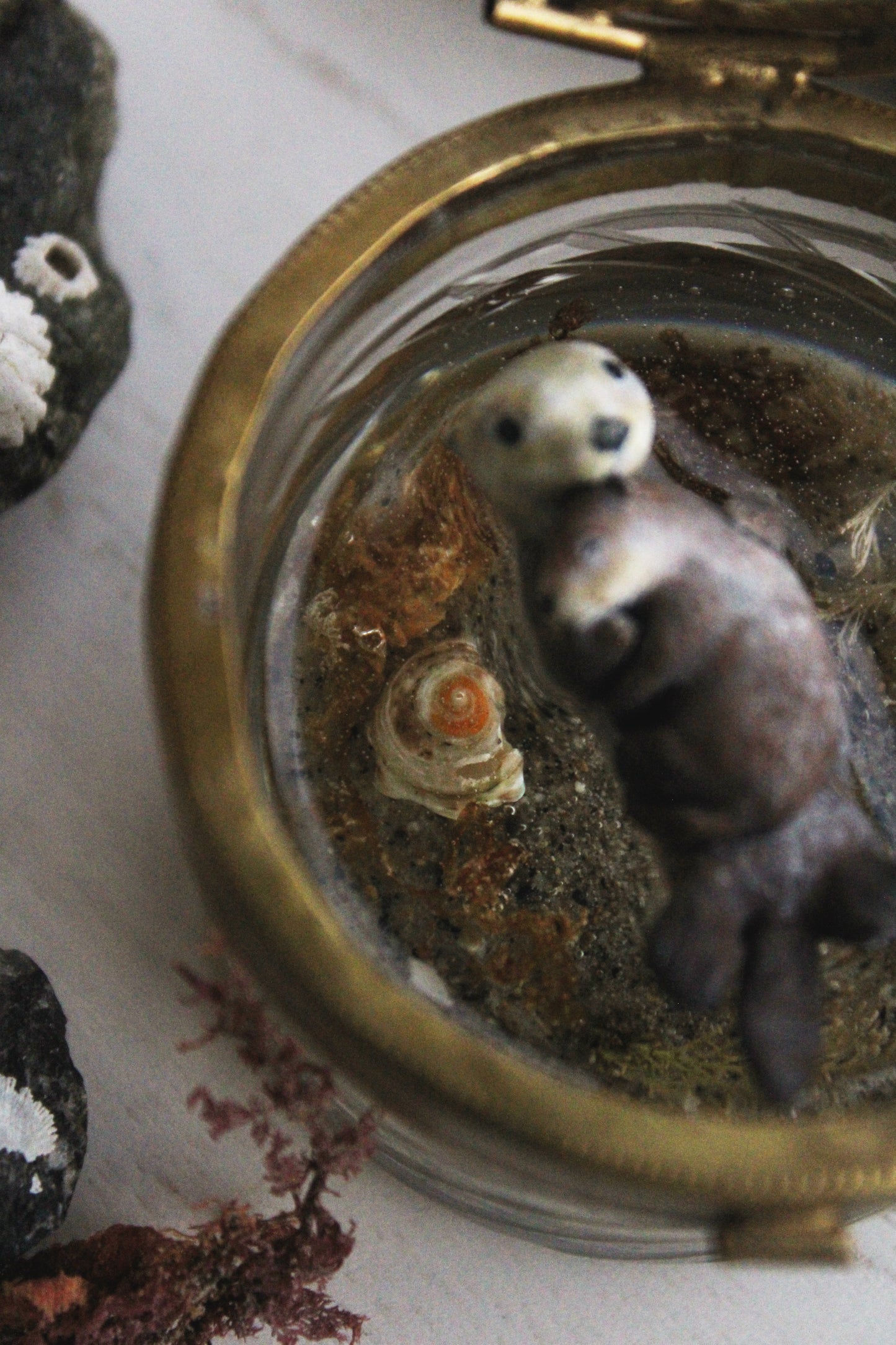 Enfolded | Glass Shadowbox Sculpture