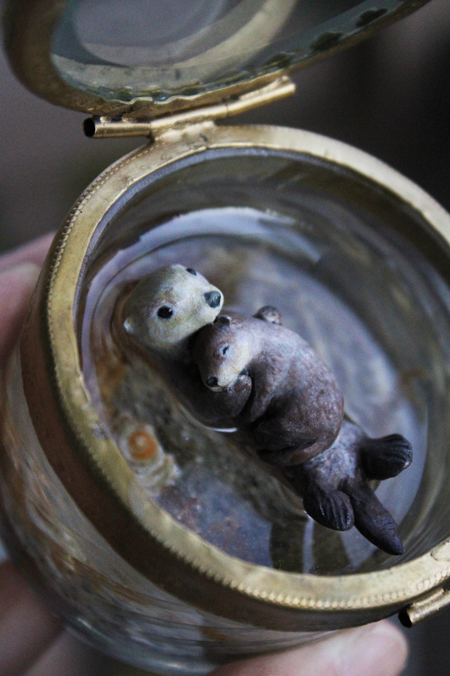 Enfolded | Glass Shadowbox Sculpture