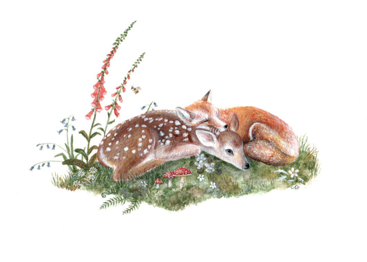 Fawn & Fox | 7 x 5 Inch Giclée Print