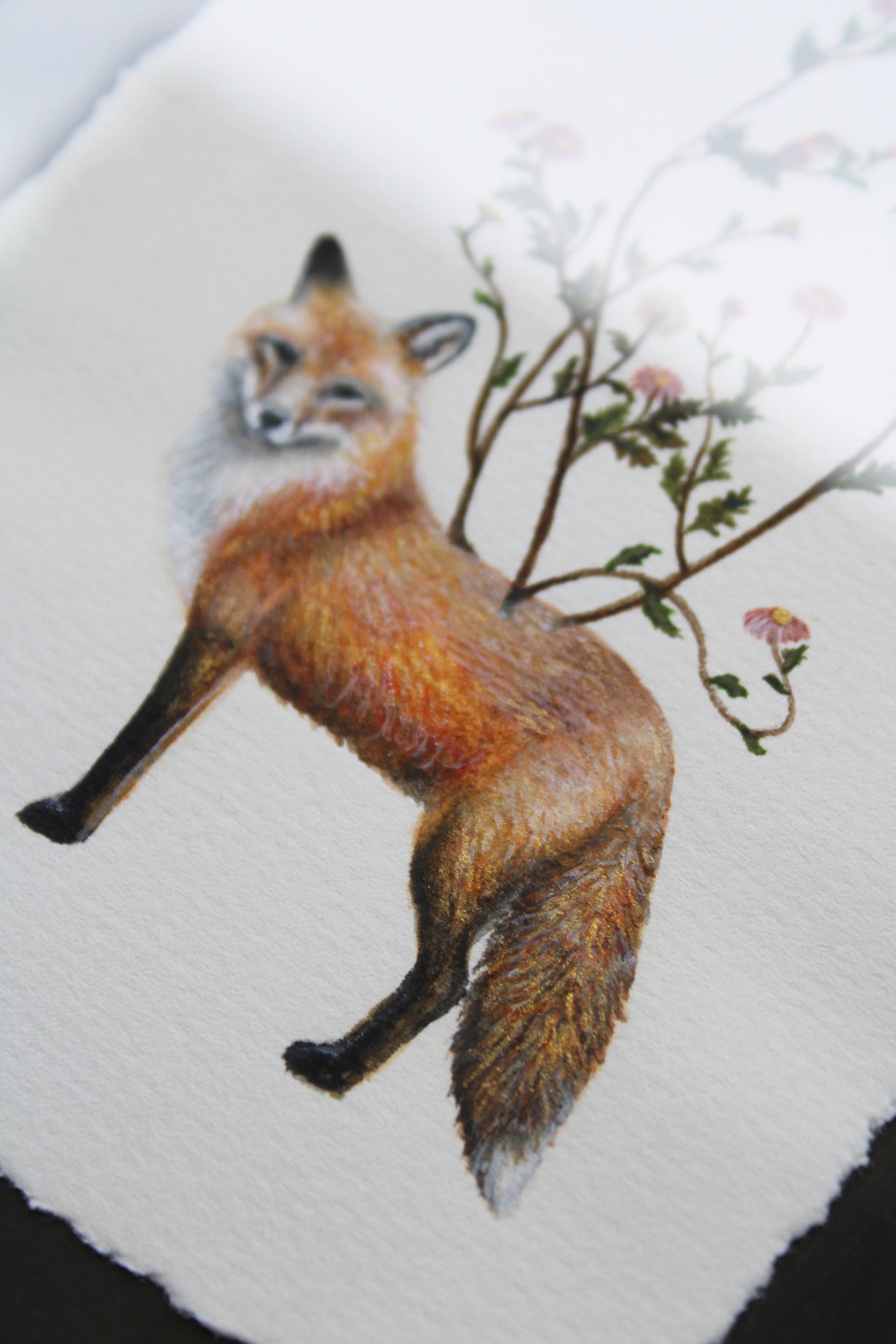 Flora & Foxes | Framed Original Painting