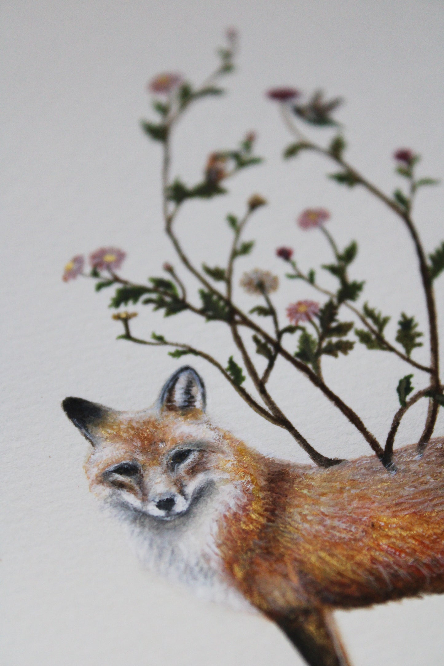 Flora & Foxes | Framed Original Painting
