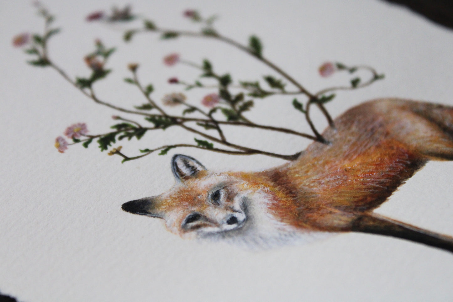 Flora & Foxes | Framed Original Painting