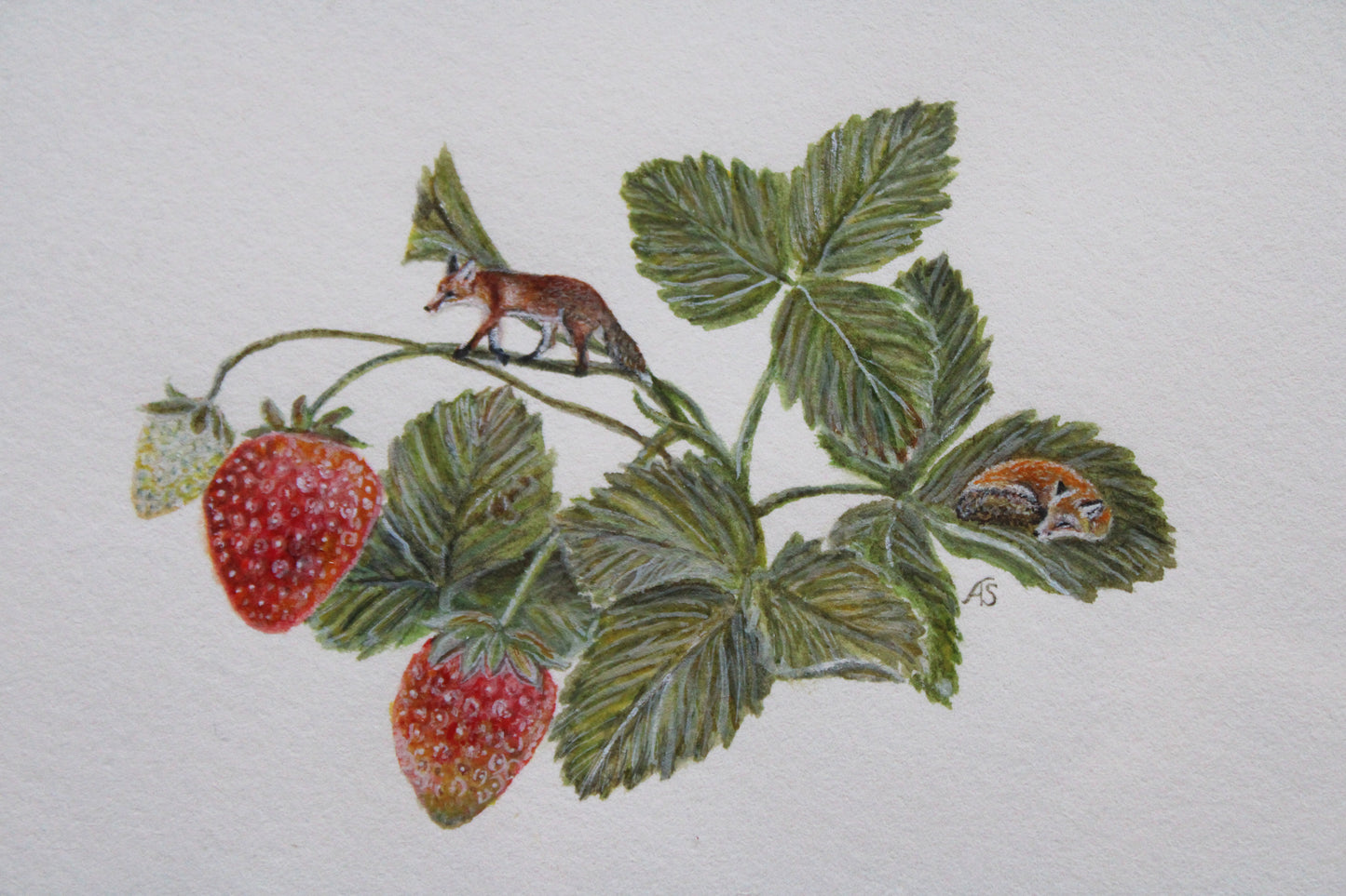 Flora & Foxes III | Framed Original Painting