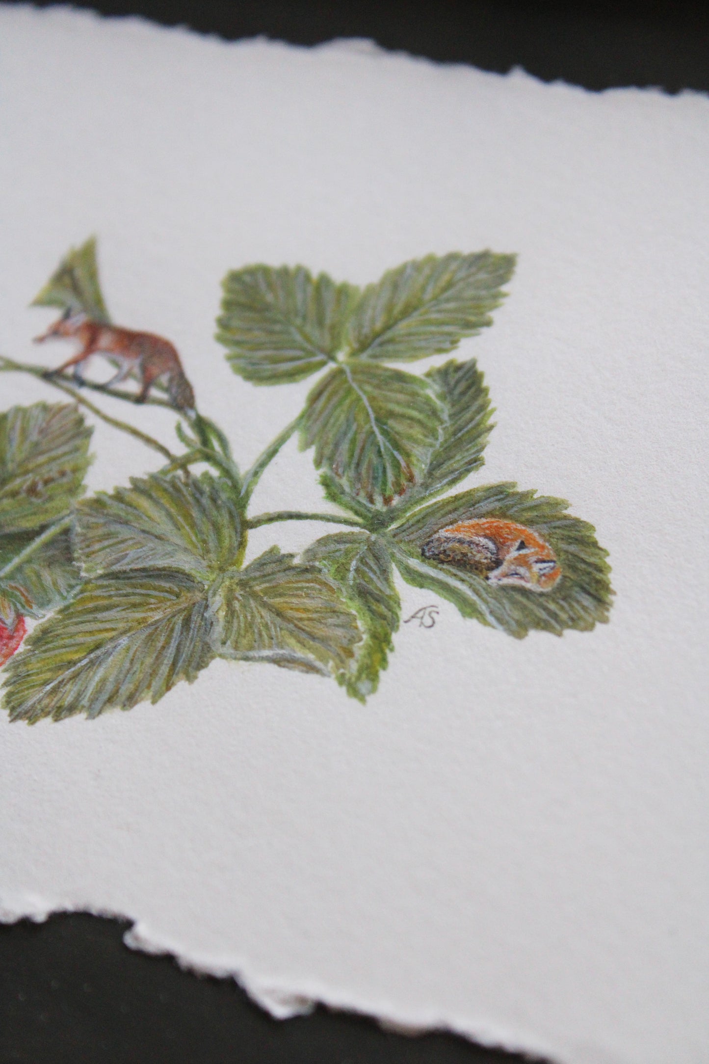 Flora & Foxes III | Framed Original Painting
