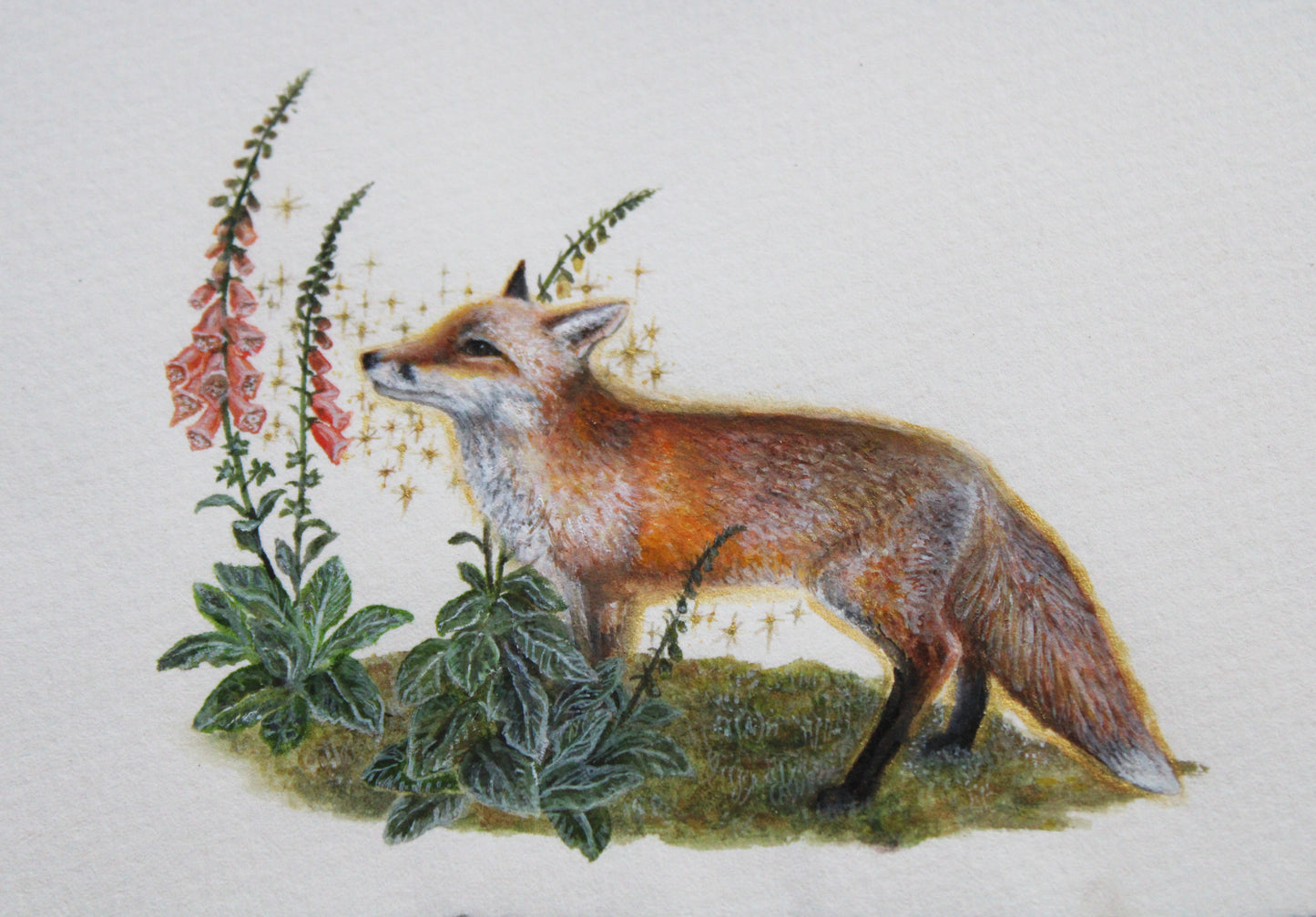 Flora & Foxes IV | Framed Original Painting