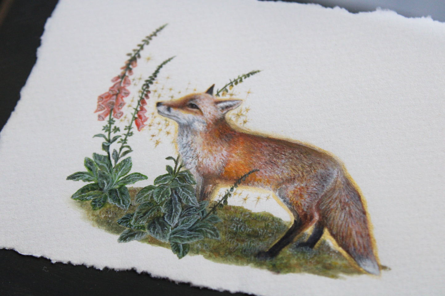 Flora & Foxes IV | Framed Original Painting