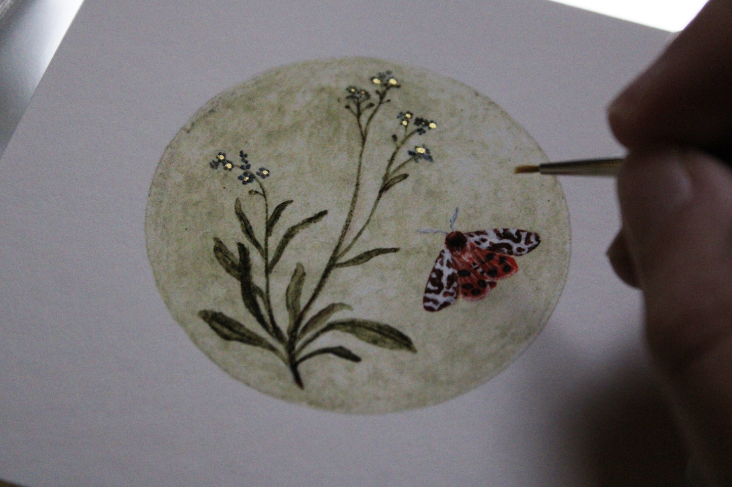 Forget-Me-Not & Garden Tiger Moth | 4 x 4 Inch Giclée Print