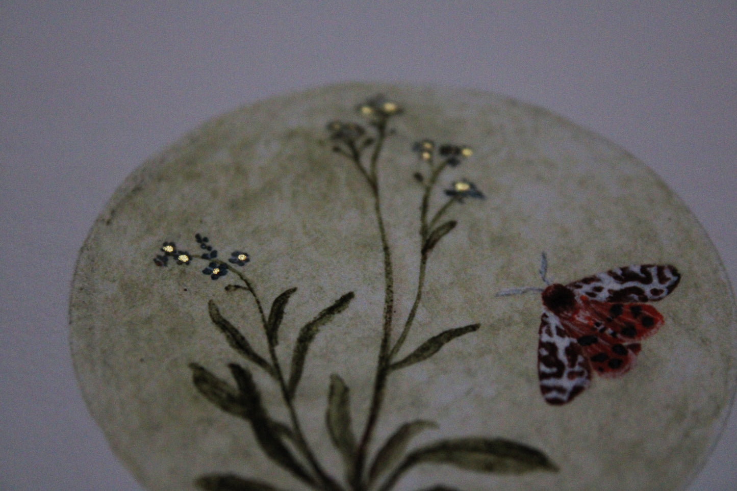 Forget-Me-Not & Garden Tiger Moth | 4 x 4 Inch Giclée Print