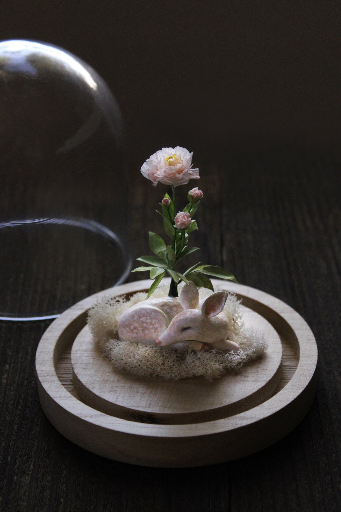 From Within III | Glass Domed Sculpture