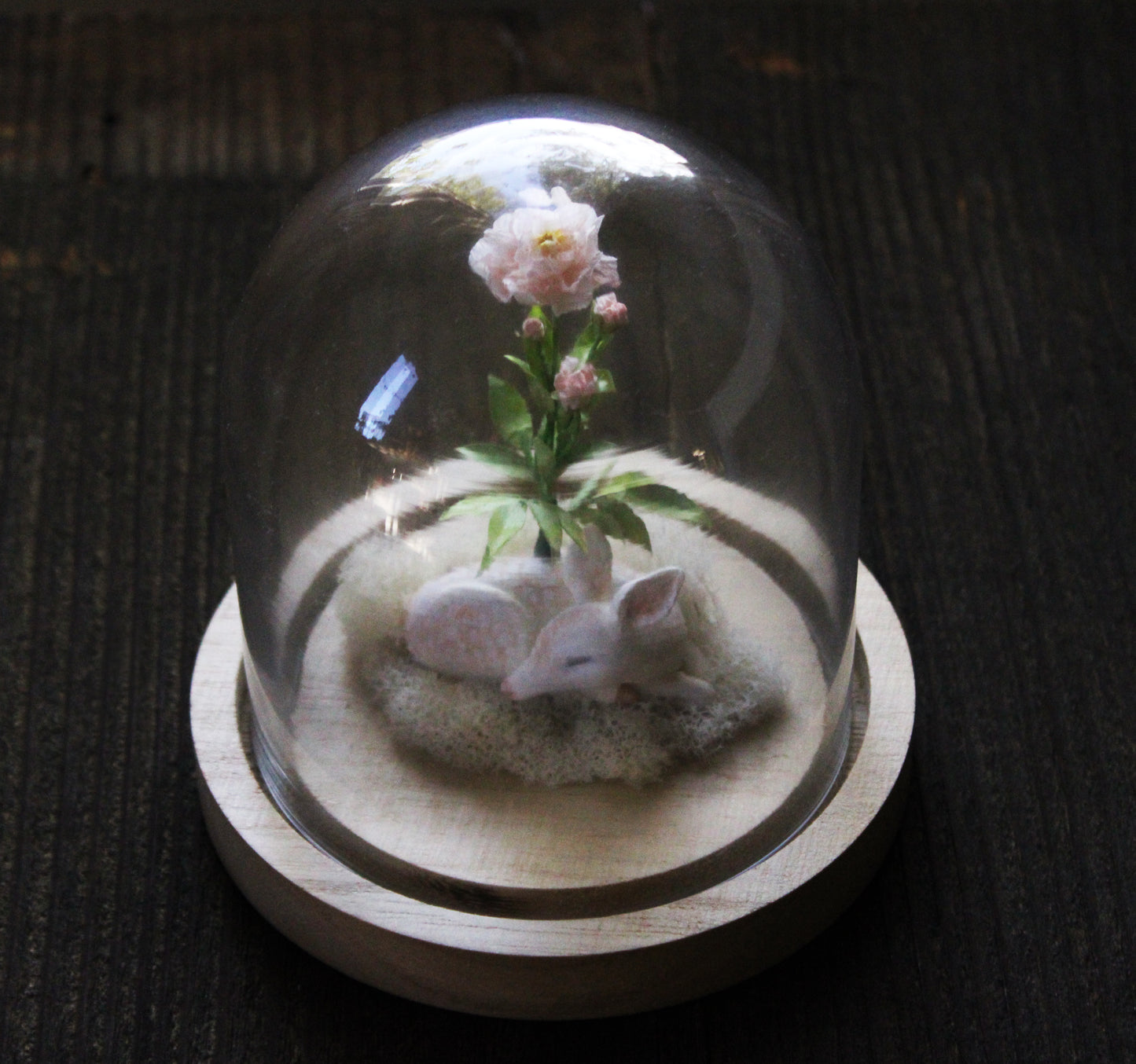 From Within III | Glass Domed Sculpture