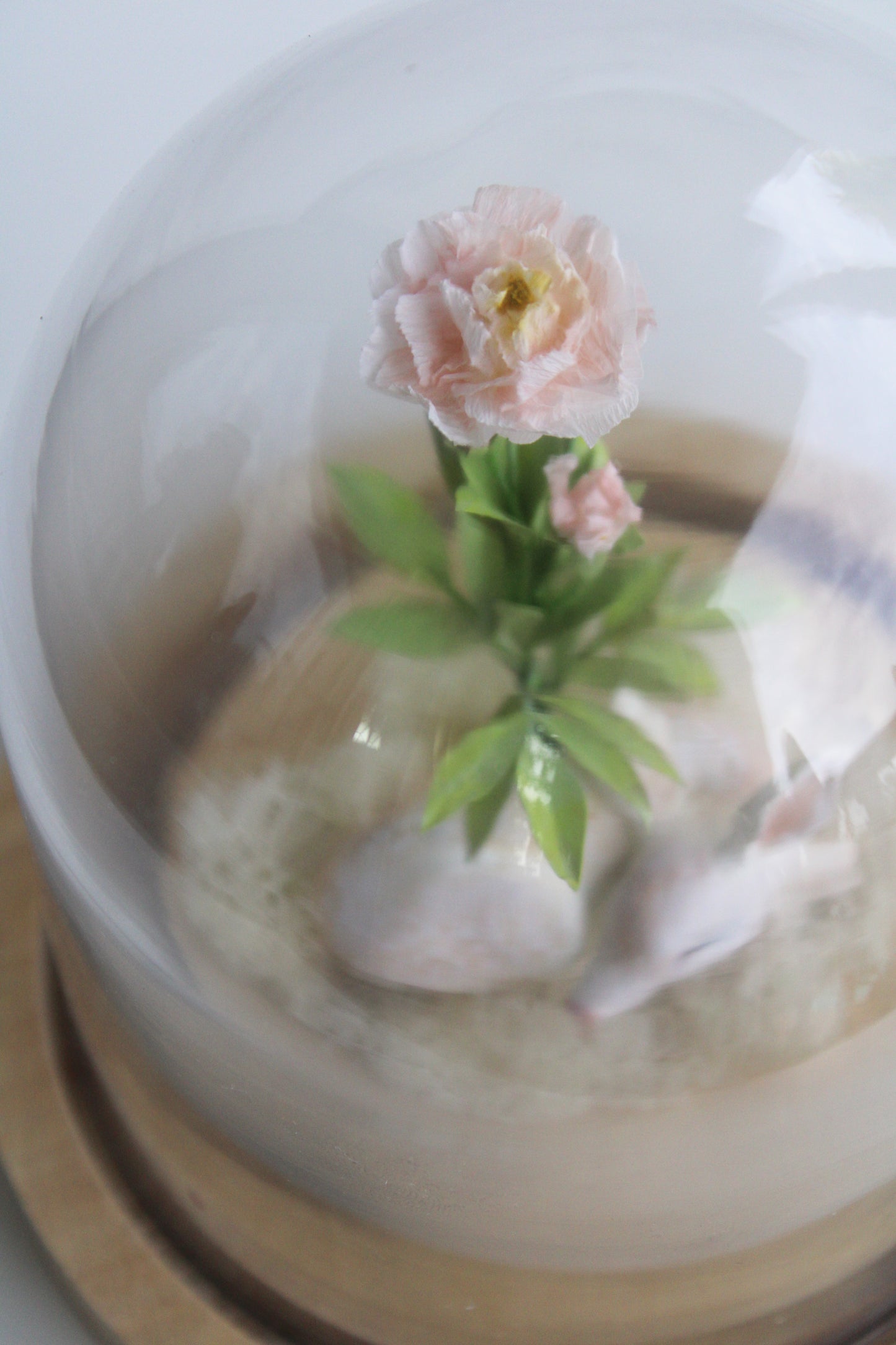 From Within III | Glass Domed Sculpture