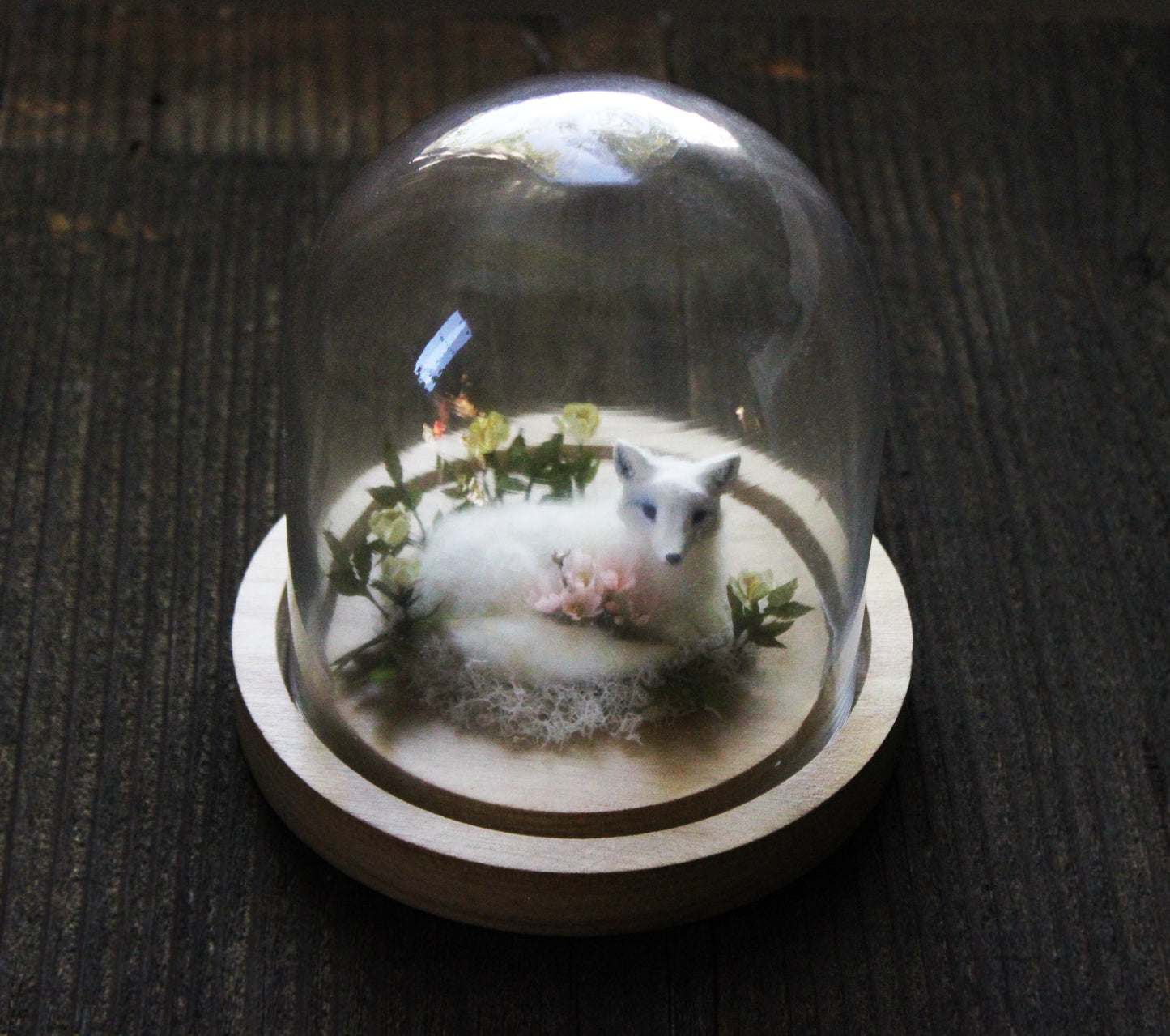From Within II | Glass Domed Sculpture
