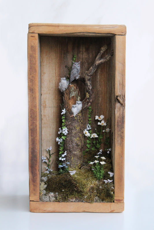 A Californian Great Horned Owl Family | Wooden Shadowbox