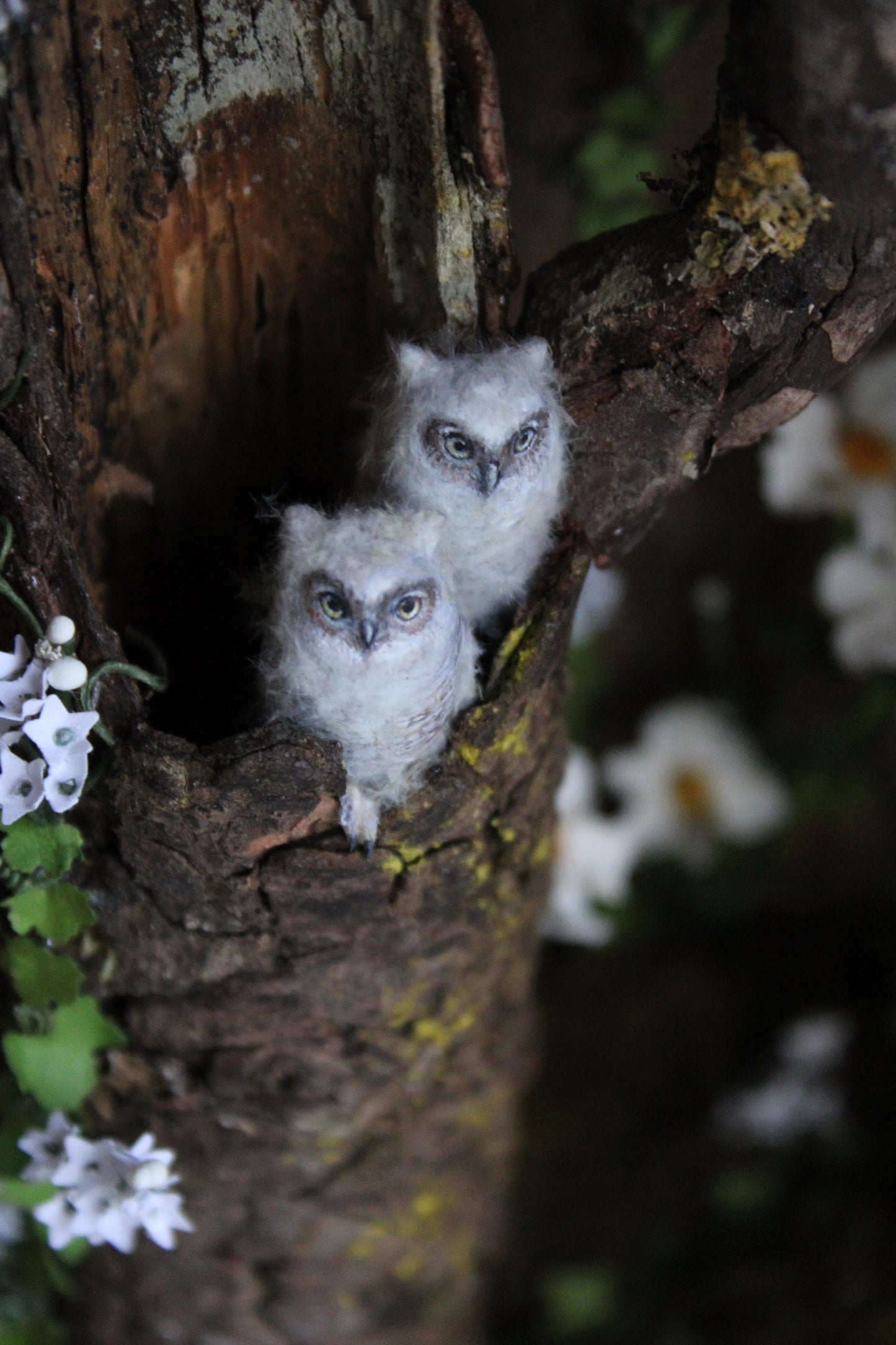 A Californian Great Horned Owl Family | Wooden Shadowbox