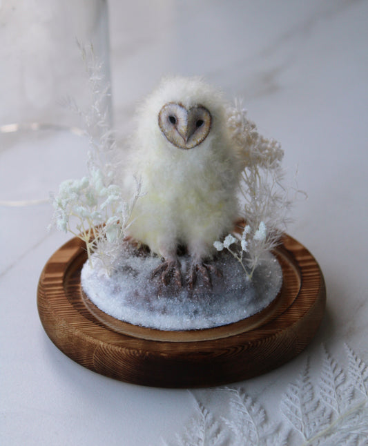 Barn Owlet | Glass Domed Sculpture
