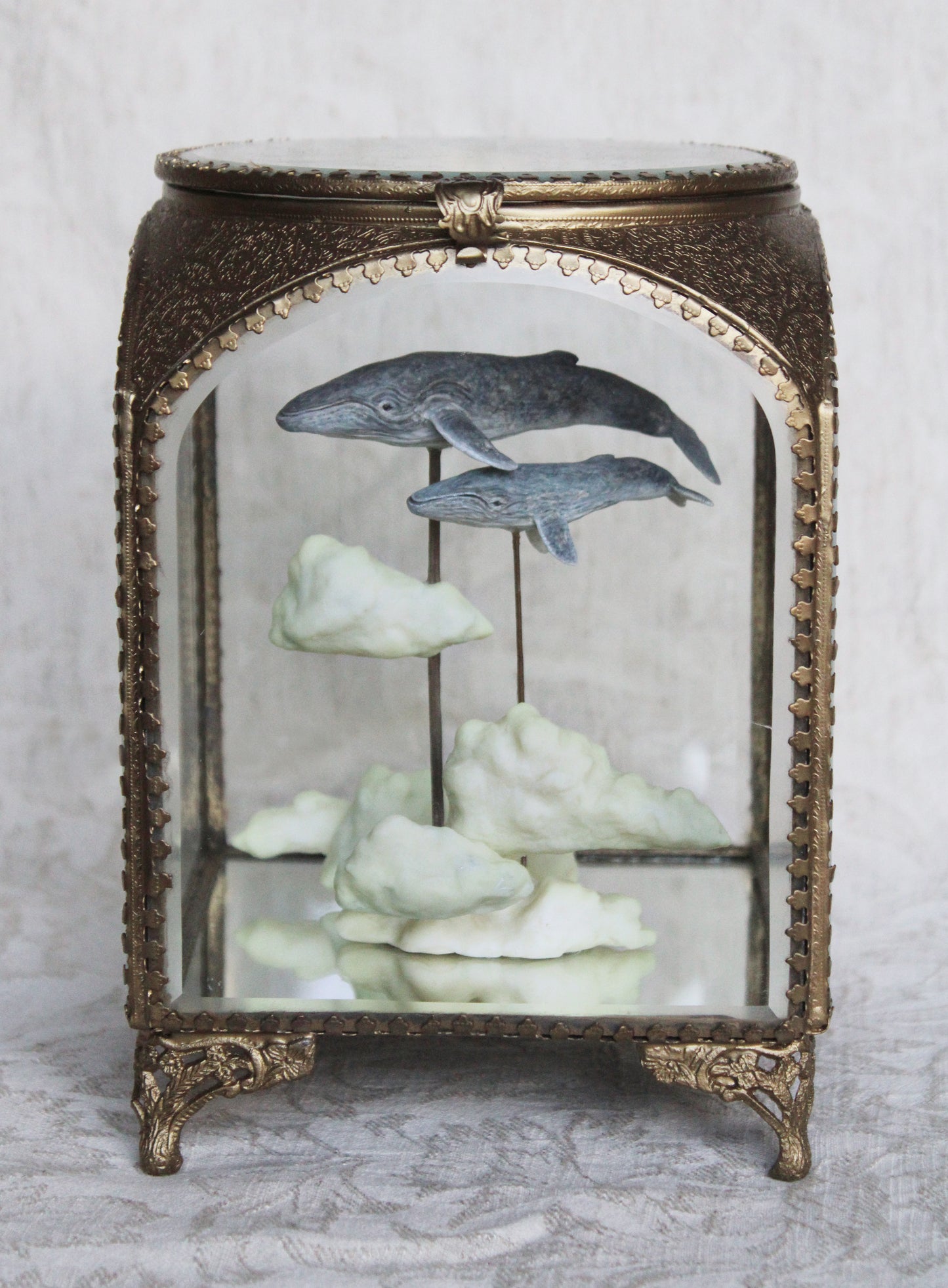 In the Clouds | Humpback Whale Glass Shadowbox