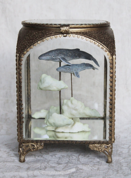 In the Clouds | Humpback Whale Glass Shadowbox