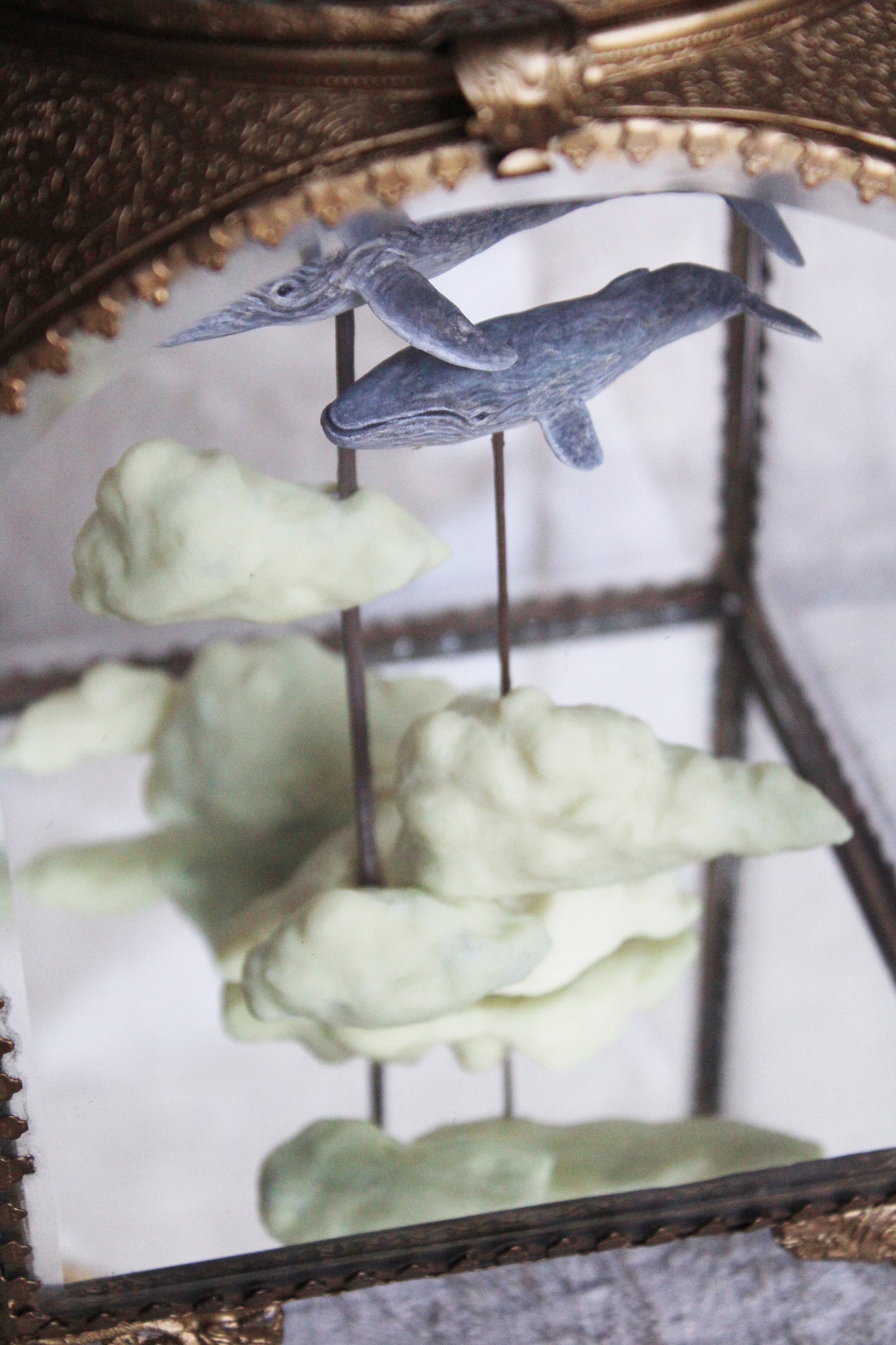 In the Clouds | Humpback Whale Glass Shadowbox
