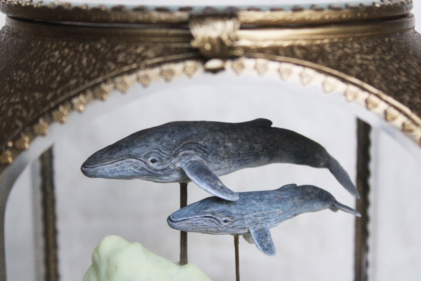 In the Clouds | Humpback Whale Glass Shadowbox