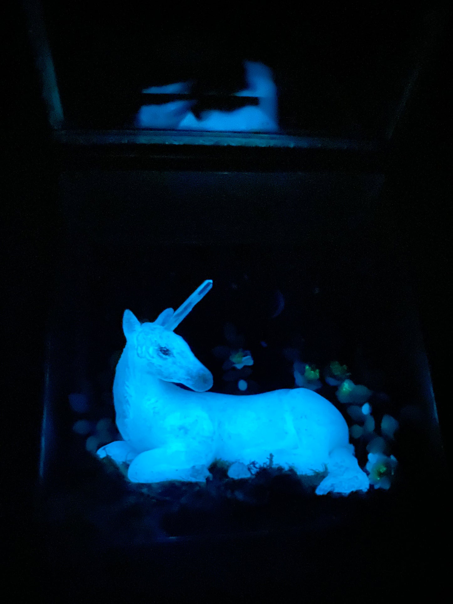 Made of Starlight | Glass Shadowbox Sculpture