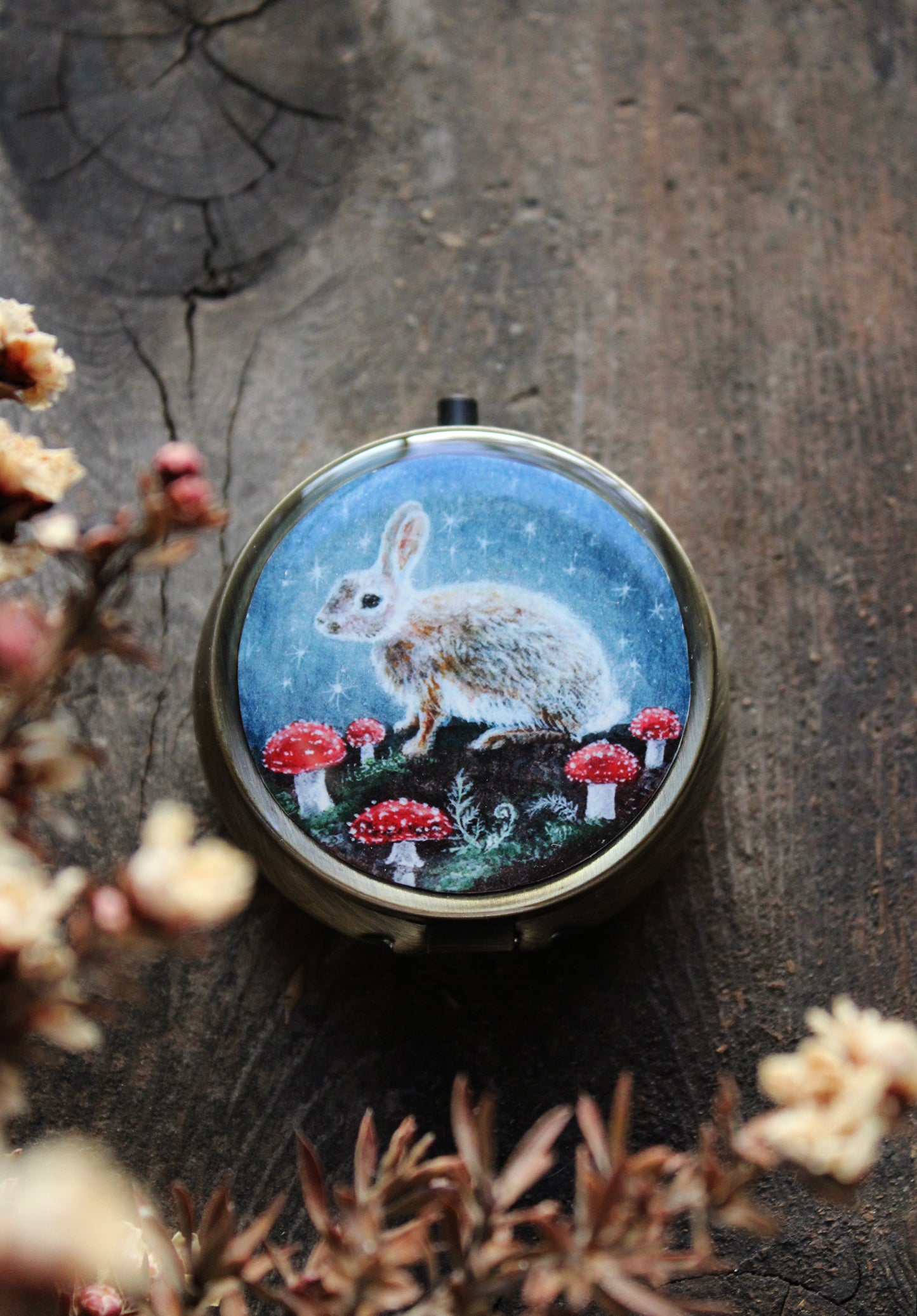 A Return to the Stars II | Pocket Locket