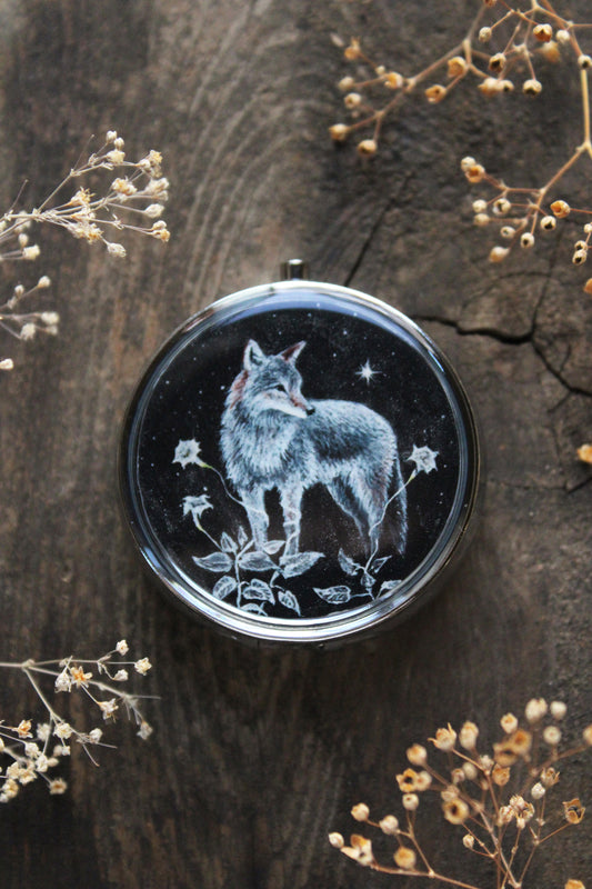 A Return to the Stars | Pocket Locket