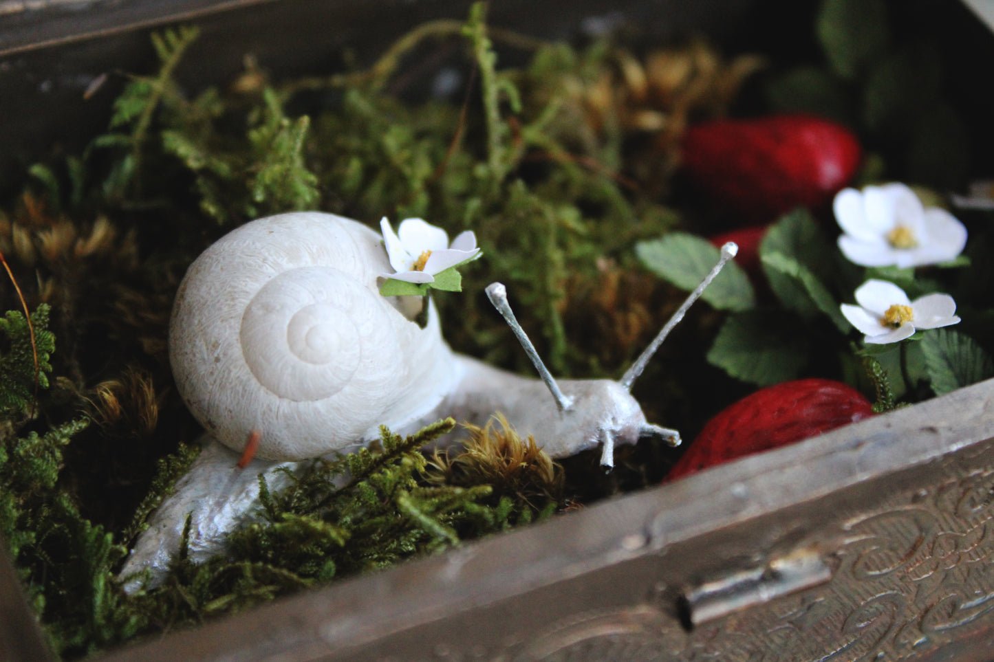The Strawberry Snail | Glass Shadowbox Sculpture