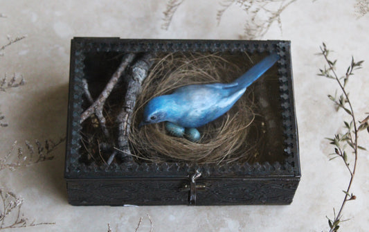 A Nest of Fierce Azure Love | Glass Shadowbox Sculpture