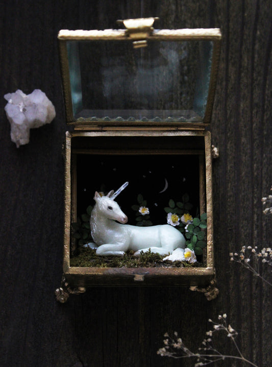 Made of Starlight | Glass Shadowbox Sculpture
