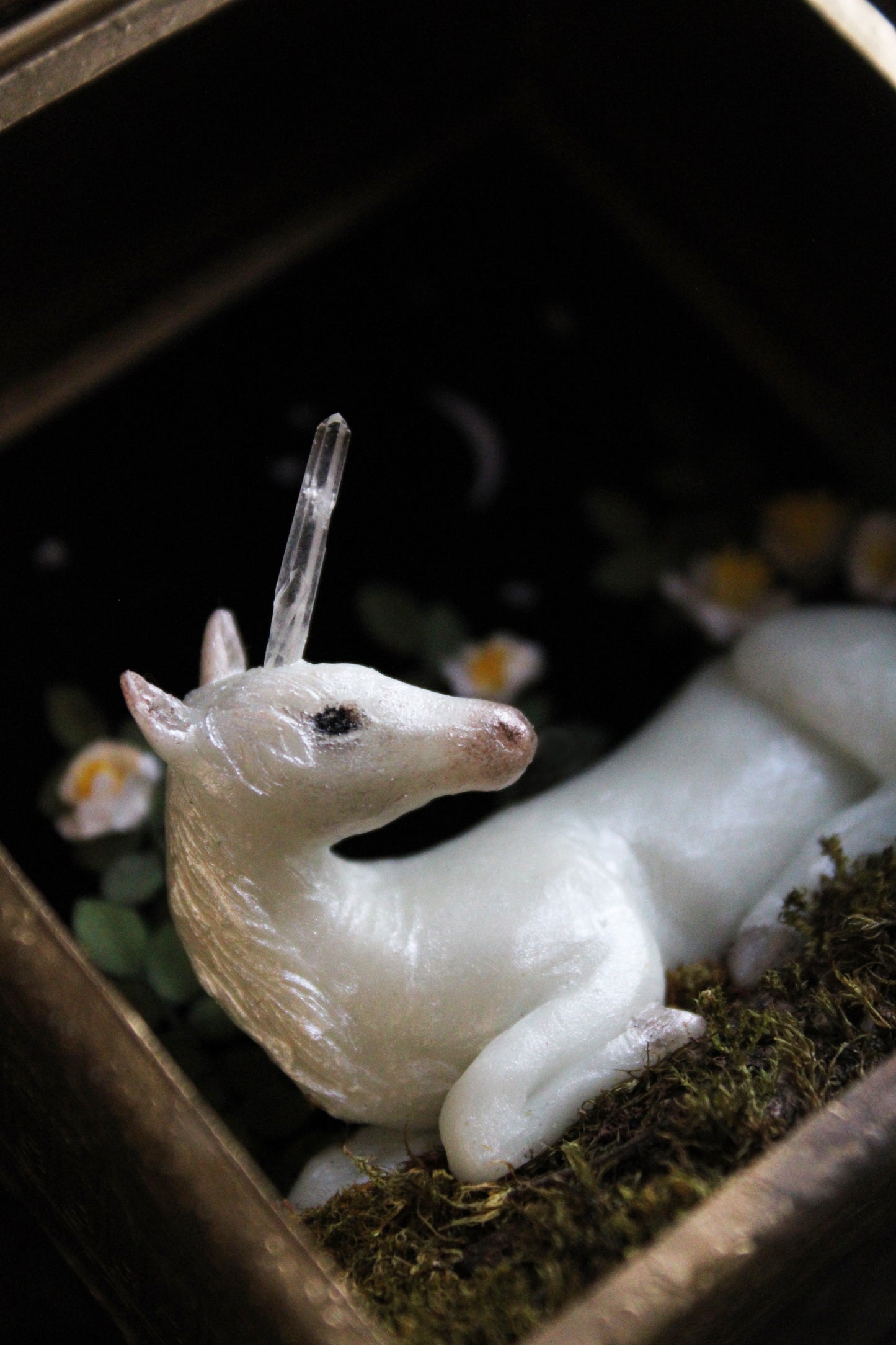 Made of Starlight | Glass Shadowbox Sculpture