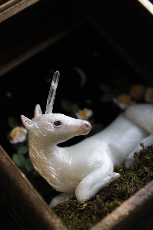 Made of Starlight | Glass Shadowbox Sculpture