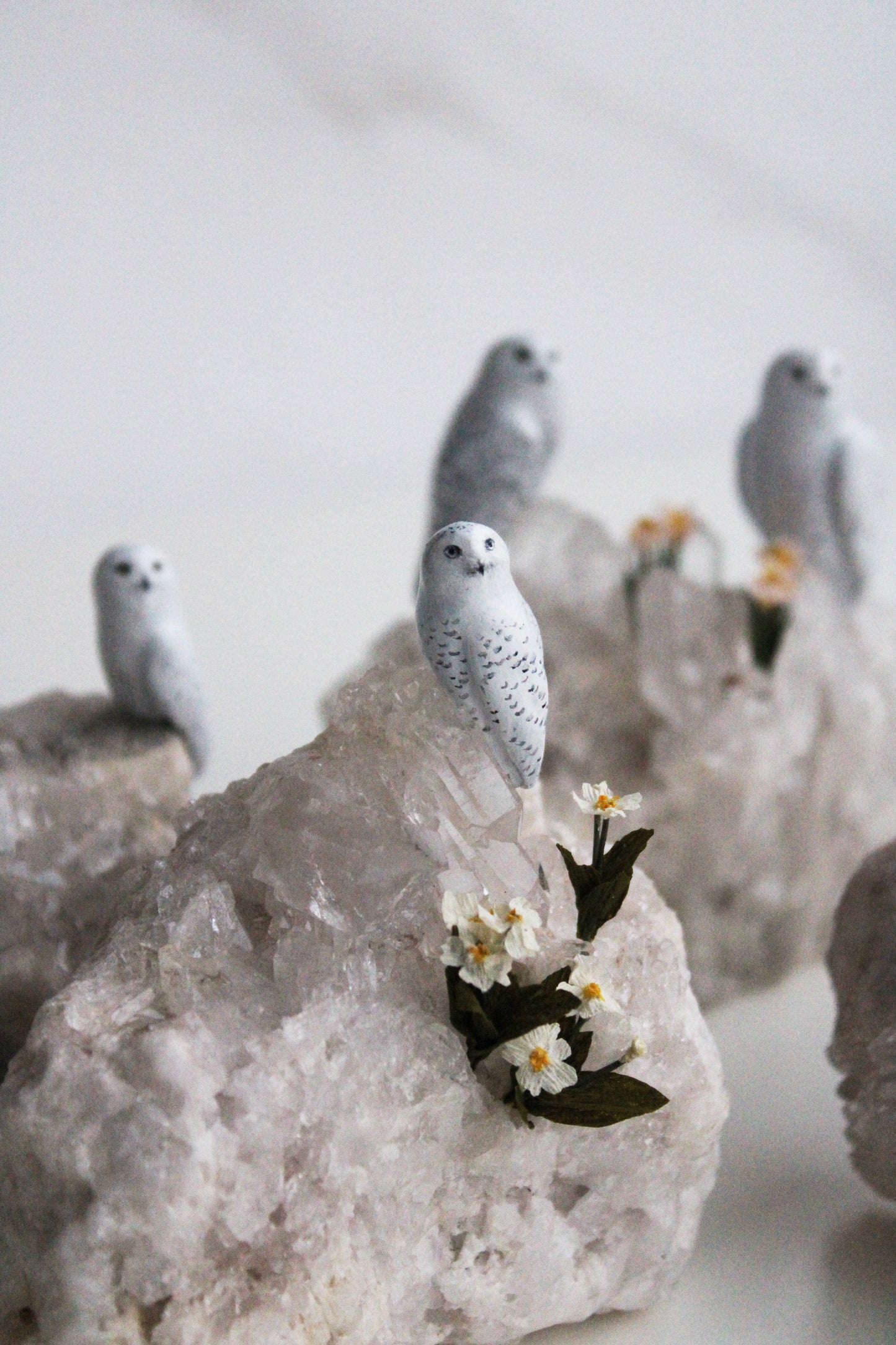 Snowy Owl & Primrose | Crystal Sculpture