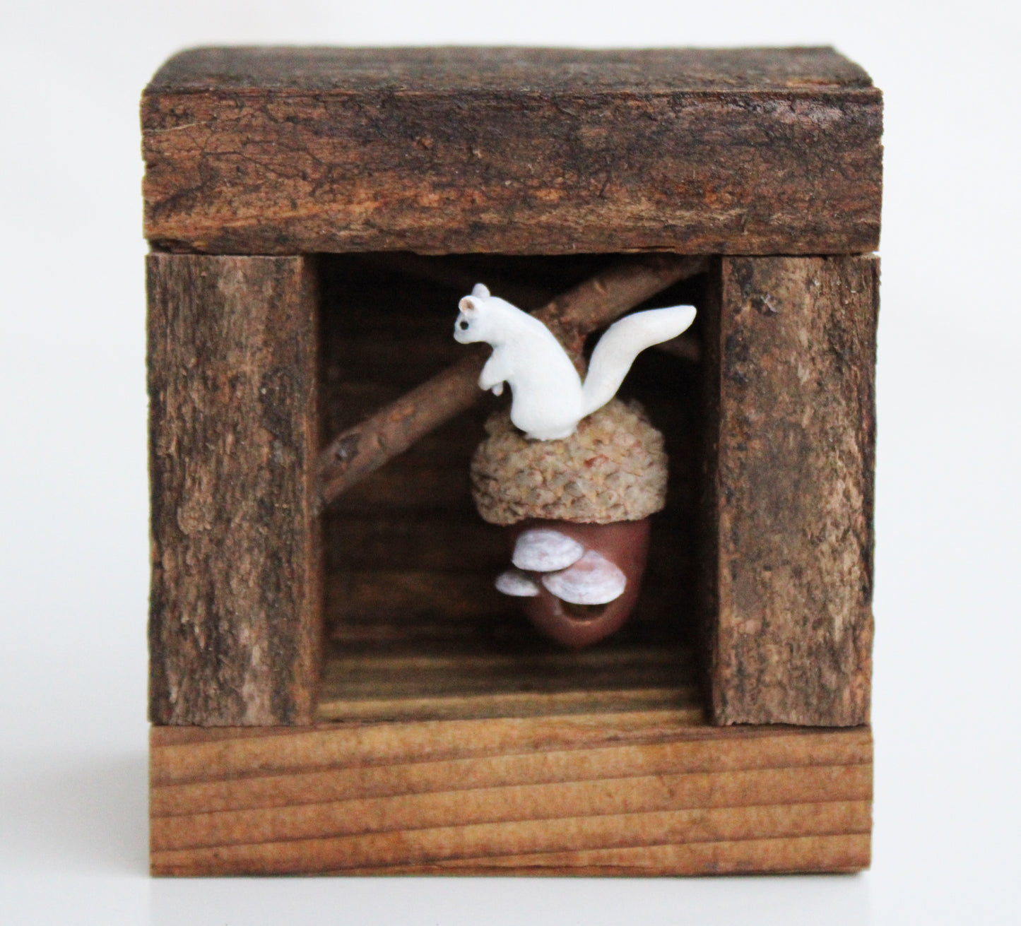 A Squirrel's Acorn Home | Wooden Shadowbox