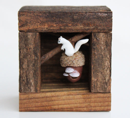 A Squirrel's Acorn Home | Wooden Shadowbox