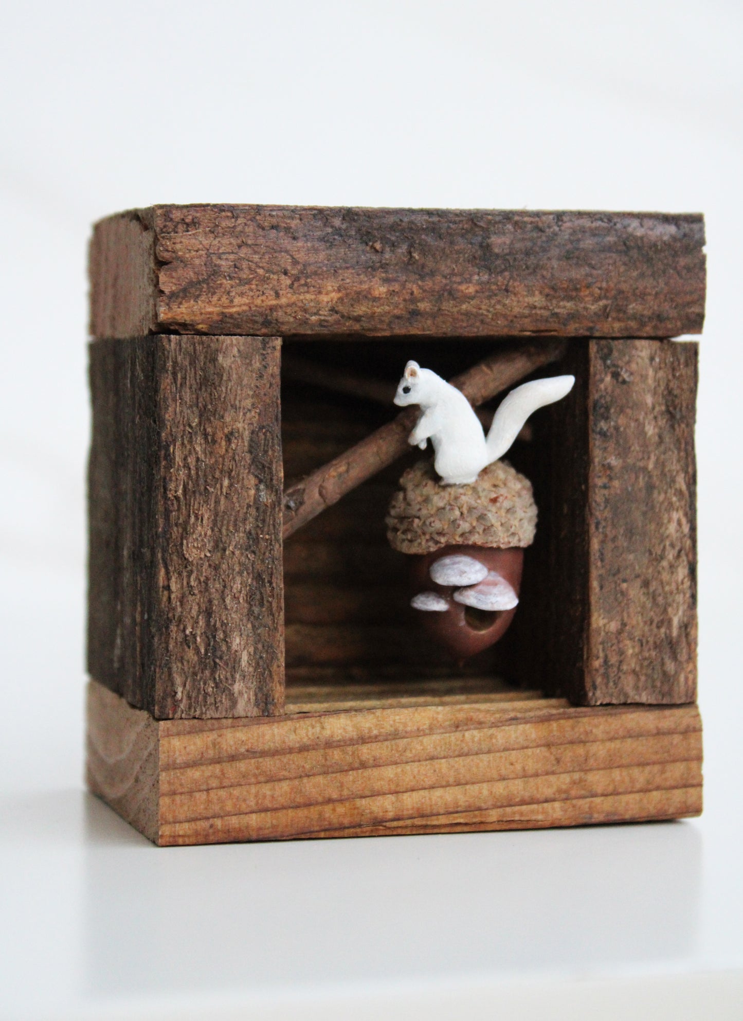 A Squirrel's Acorn Home | Wooden Shadowbox