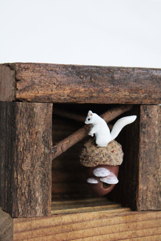 A Squirrel's Acorn Home | Wooden Shadowbox