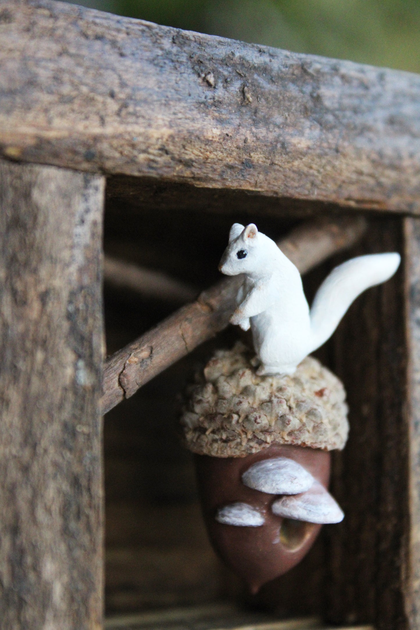 A Squirrel's Acorn Home | Wooden Shadowbox