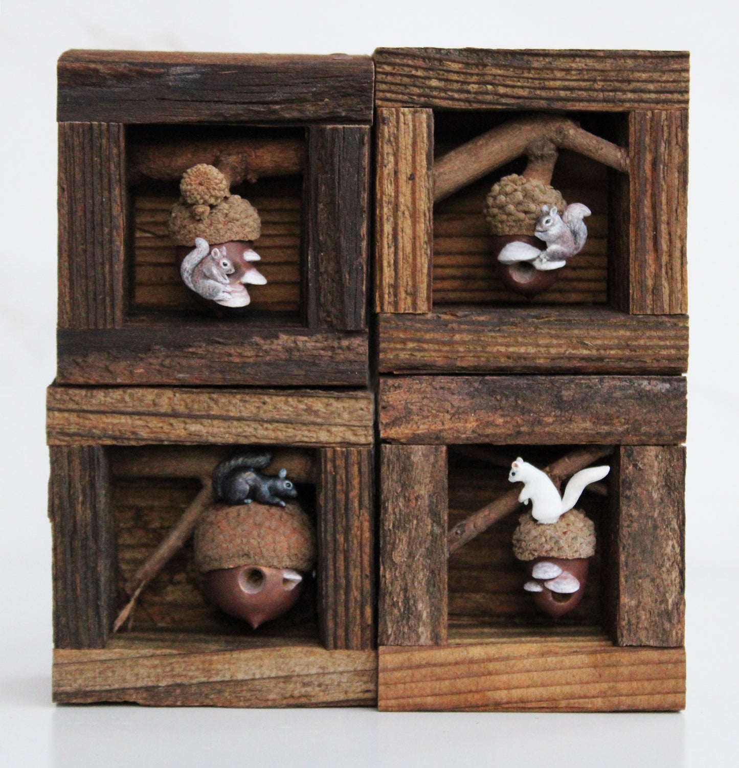 A Squirrel's Acorn Home III | Wooden Shadowbox