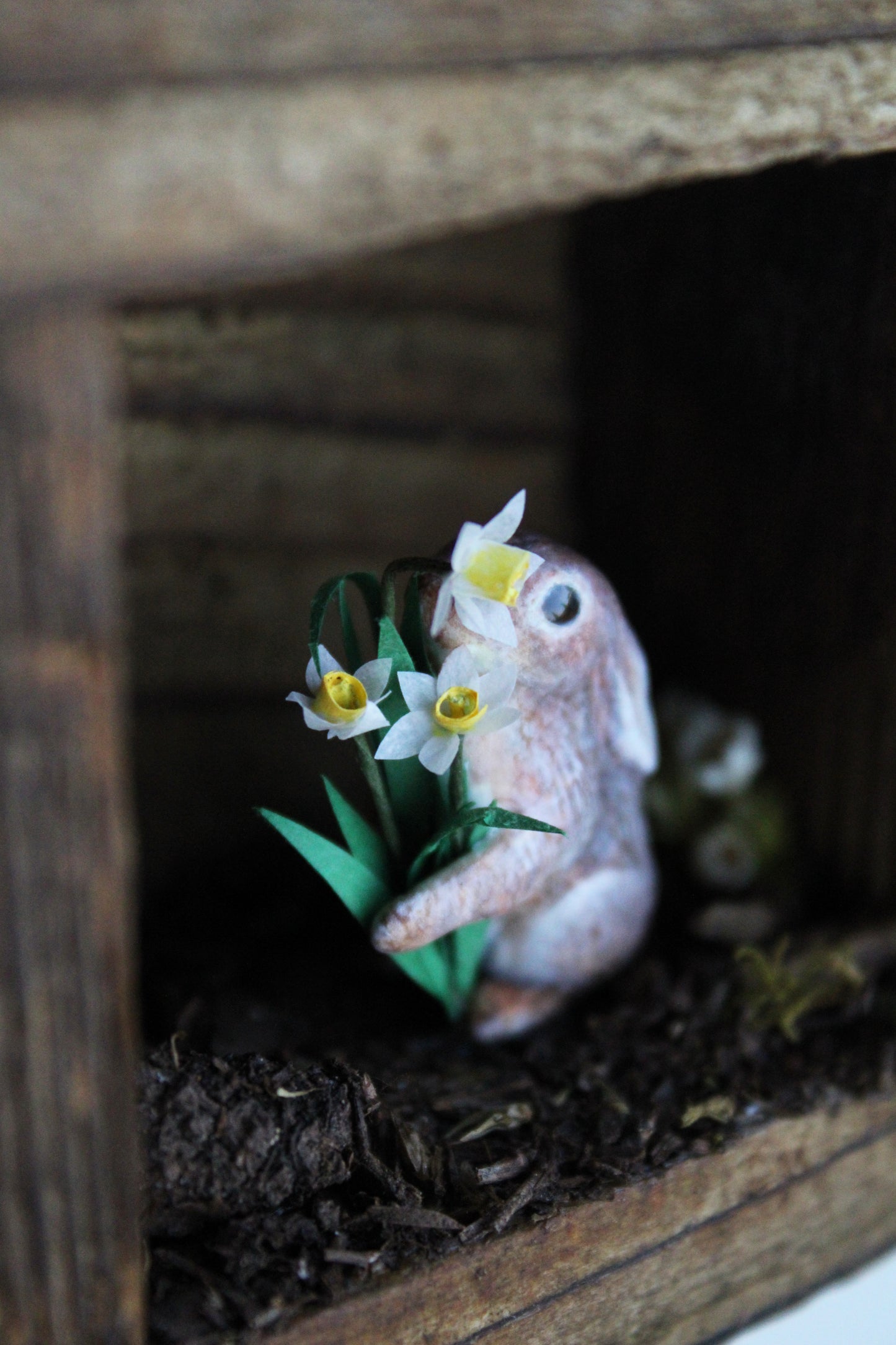 Spring's Treasures | Wooden Shadowbox