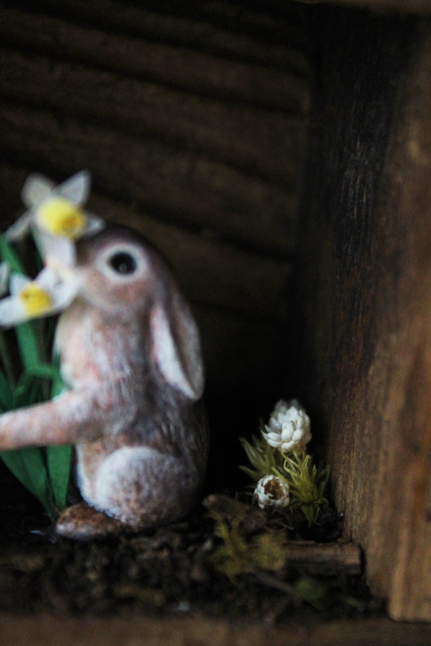 Spring's Treasures | Wooden Shadowbox
