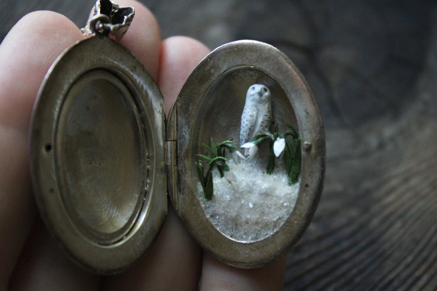 Snowy Owl & Snowdrops | Vintage Locket