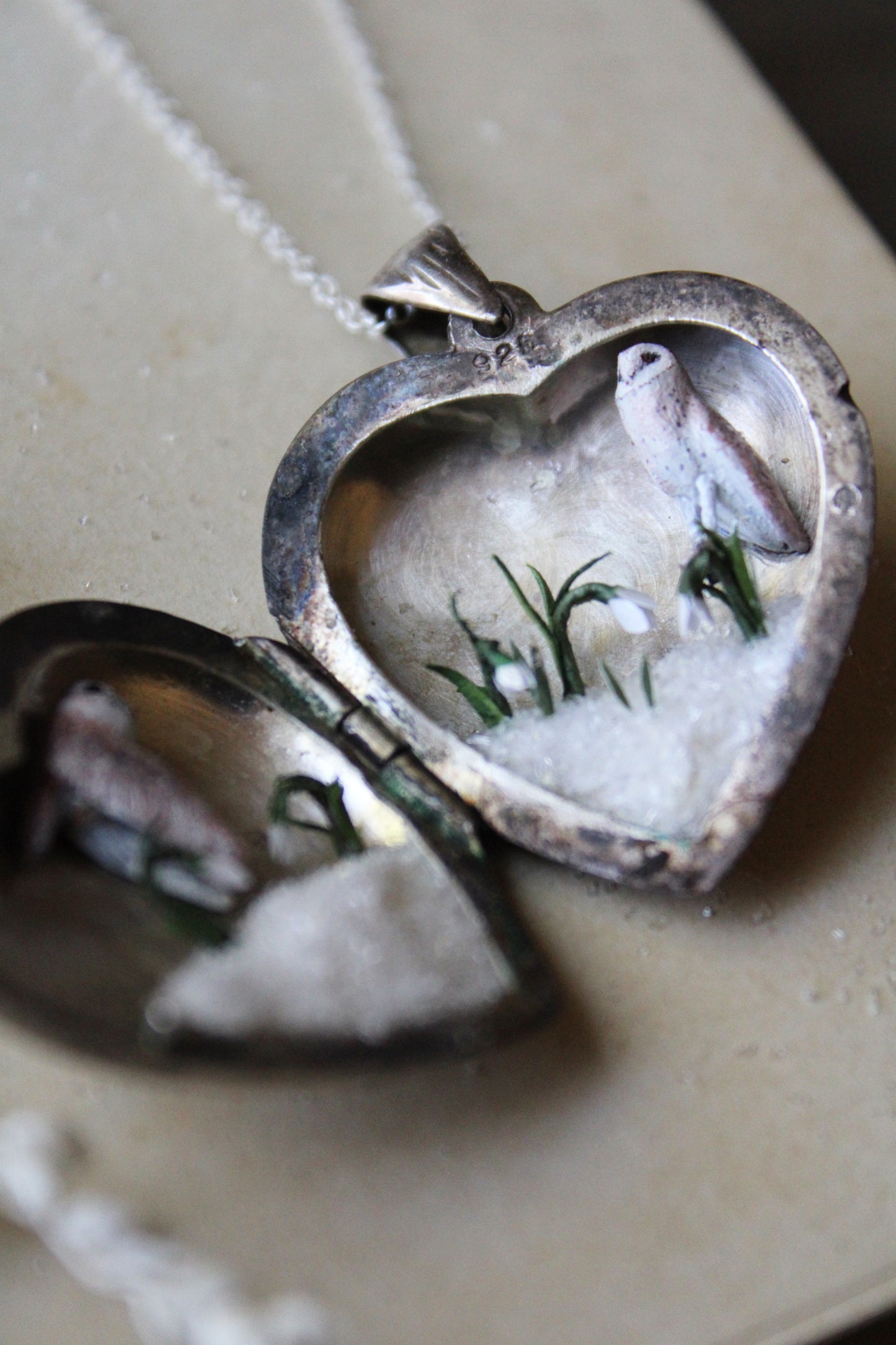 Barn Owl & Snowdrops II | Vintage Locket