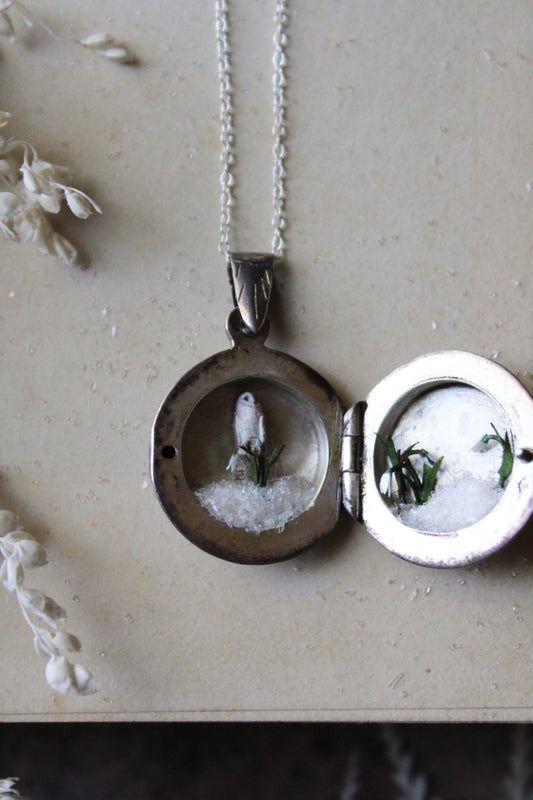 Barn Owl & Snowdrops III | Vintage Locket